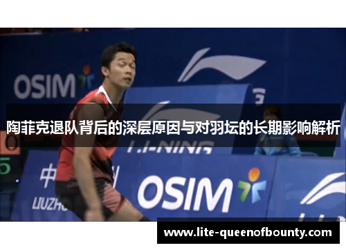 陶菲克退队背后的深层原因与对羽坛的长期影响解析
