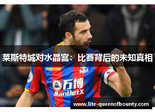 莱斯特城对水晶宫:比赛背后的未知真相 莱斯特城对水晶宫:比赛背后的未知真相