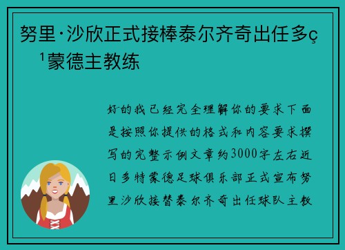 努里·沙欣正式接棒泰尔齐奇出任多特蒙德主教练